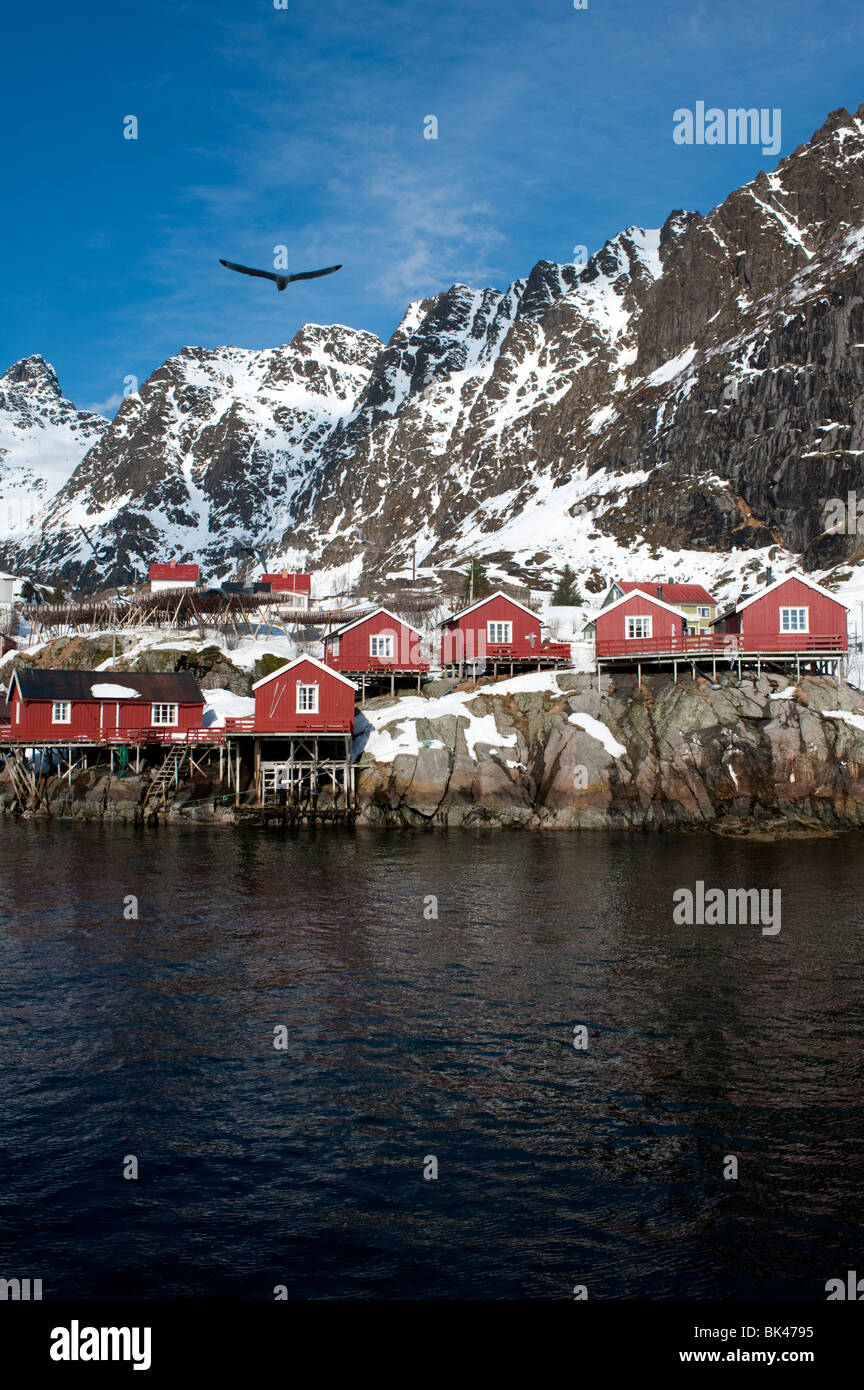 Traditional red wooden Rorbu fishermens` huts in village of Henningsvaer in Lofoten Islands in Norway Stock Photo